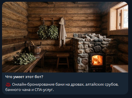 Обложка демо-концепта «Сибирский Пар — бот бронирования»